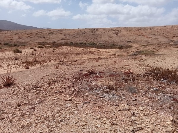 Rustic land in Tindaya, Fuerteventura, Tindaya