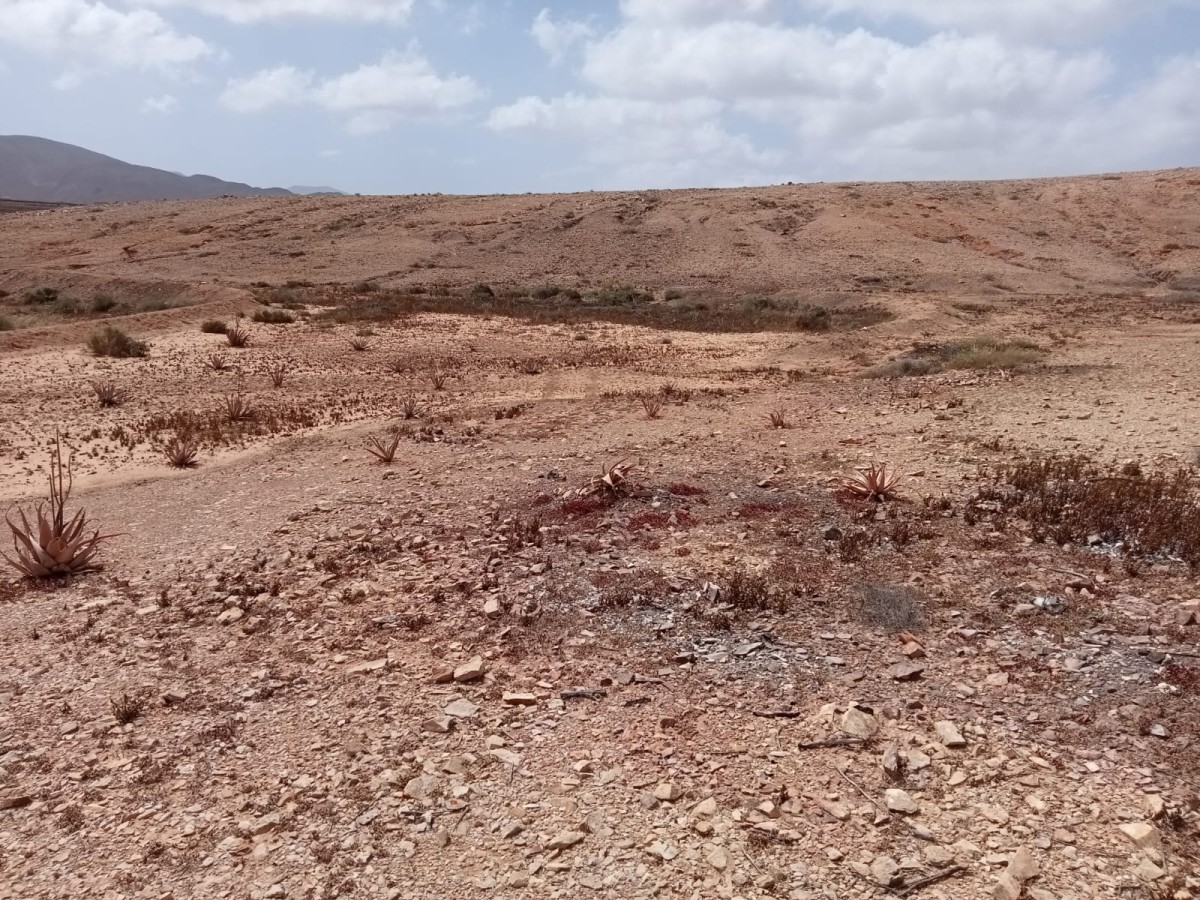 Rustic land in Tindaya, Fuerteventura, Tindaya